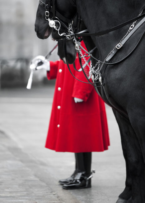 Vakt och häst vid Horse Guard i London